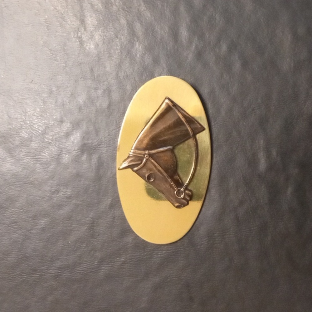 Horse Head Pin